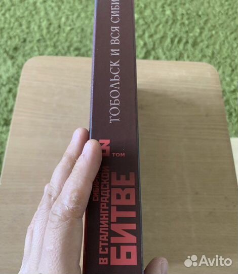 Сибиряки в Сталинградской битве том 3