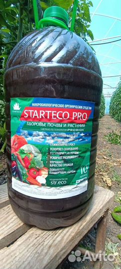 Стартеко про(Starteco PRO)