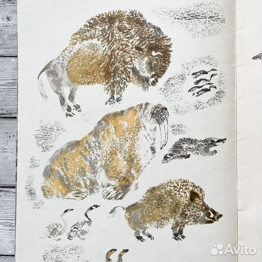 В. Бианки «Люля» - Детские Книги СССР