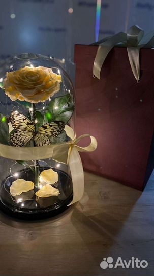 Живая роза в колбе