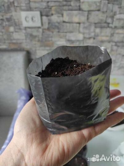 Пакет д/рассады, 0.3л, 137см, полиэтилен 50 шт