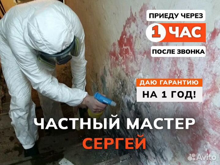 Удаление грибка плесени устранение запахов озоном