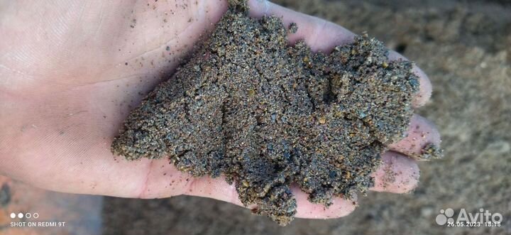 Мытый песок, гречка