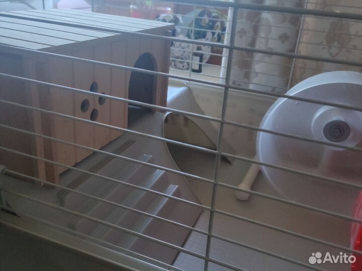 Клетка для грызунов бу