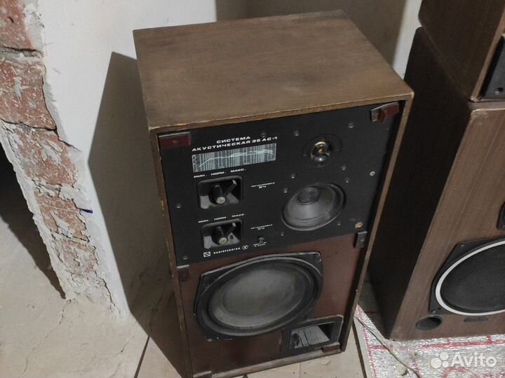 Колонки радиотехника 35ас1