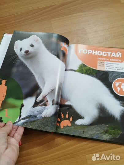 Детская энциклопедия. Животные в натуральную вели