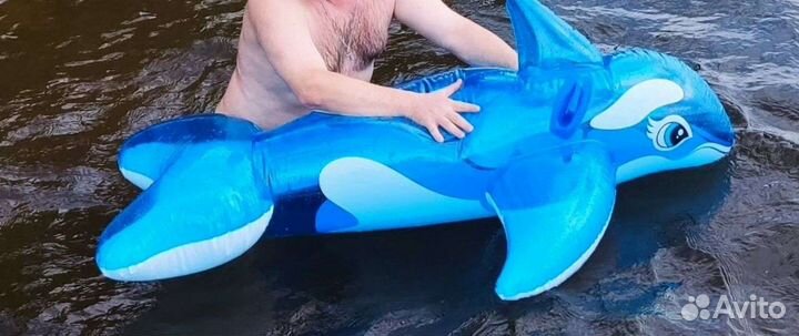 Надувной пегас