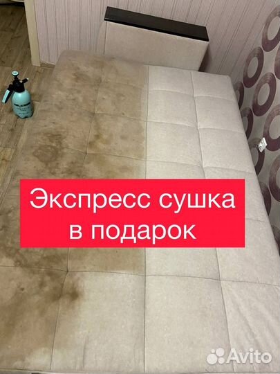 Выездная химчистка мебели, ковров и салонов авто