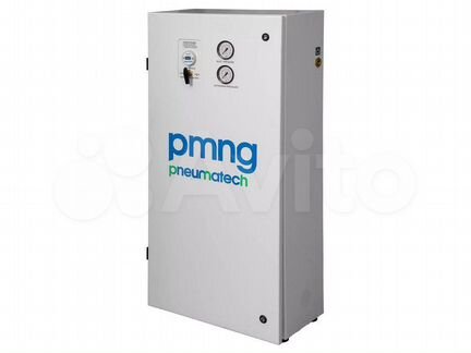Мембранный генератор азота Pneumatech pmng 1