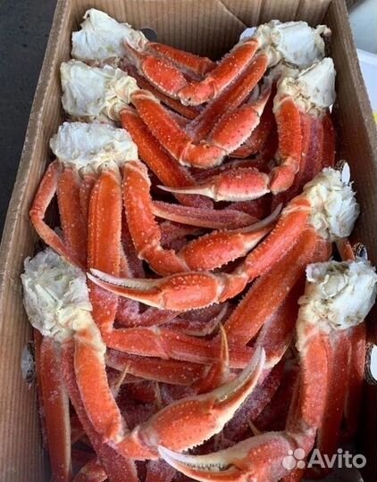 Краб Стригун в вакууме