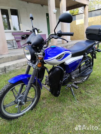 Alpha RX11 Lux