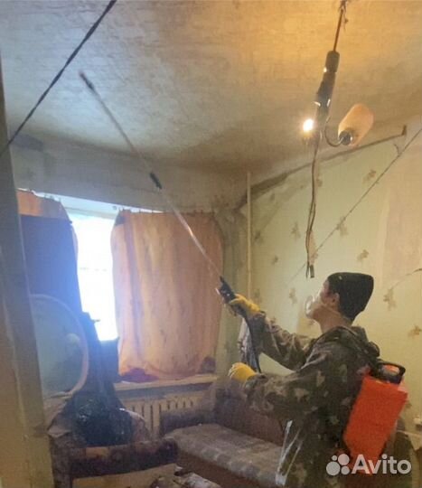 Профессиональное уничтожение все насекомых