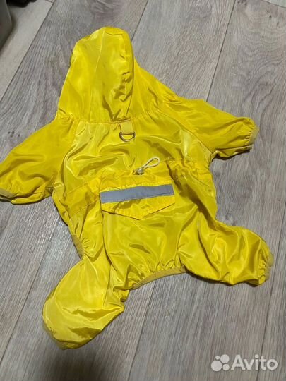 Одежда для собаки