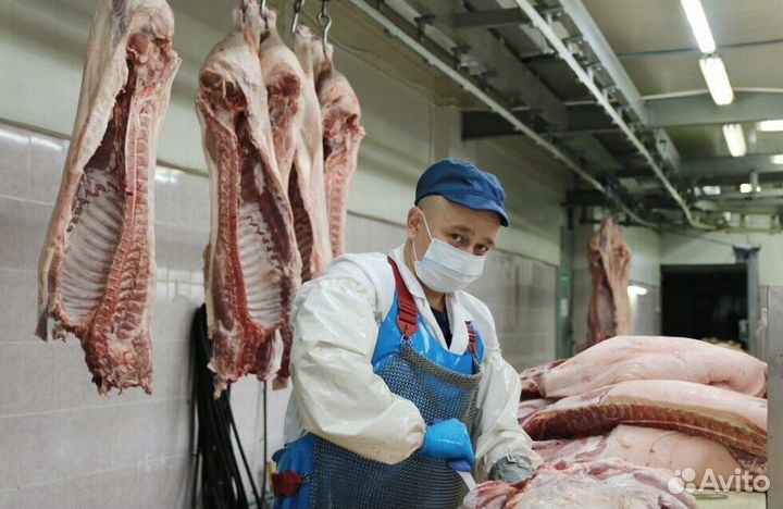 Работа разнорабочим на мясокомбинате(Вахта)