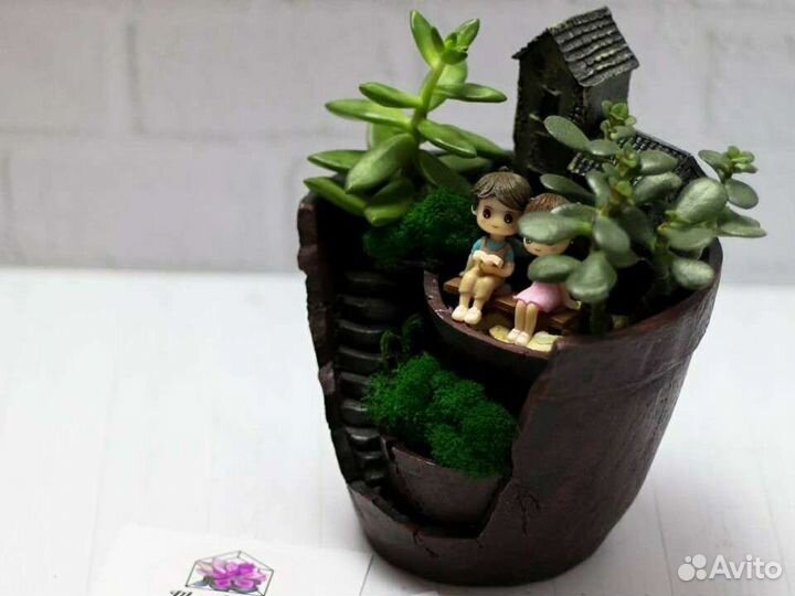 Флорариум композиция из растений суккуленты детям