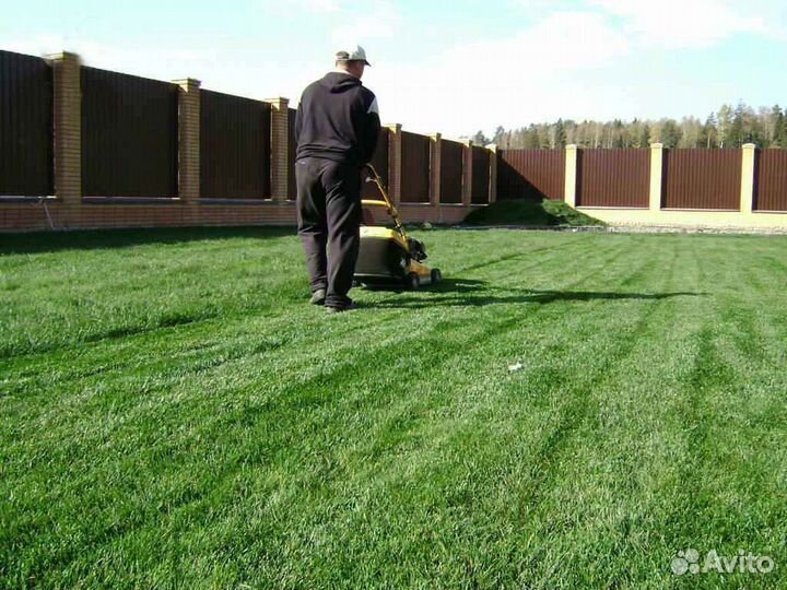 Рулонный газон, укладка, продажа