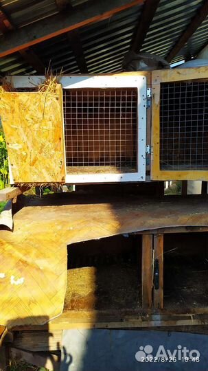 Клетки для кроликов бу