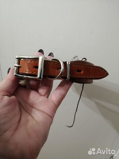 Ошейник новый