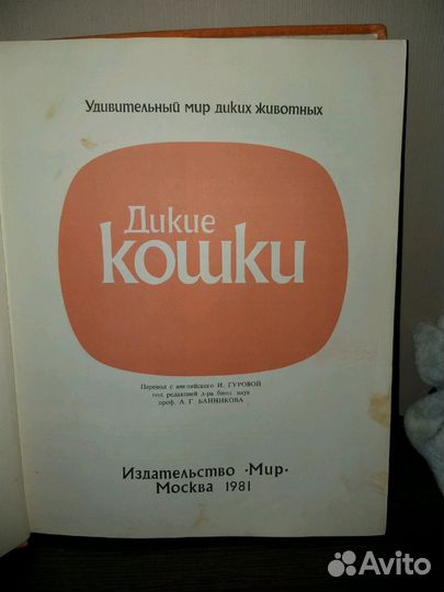 Книга про диких кошек 1981 гола