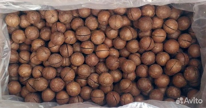 Орех макадамия. Отличного качества