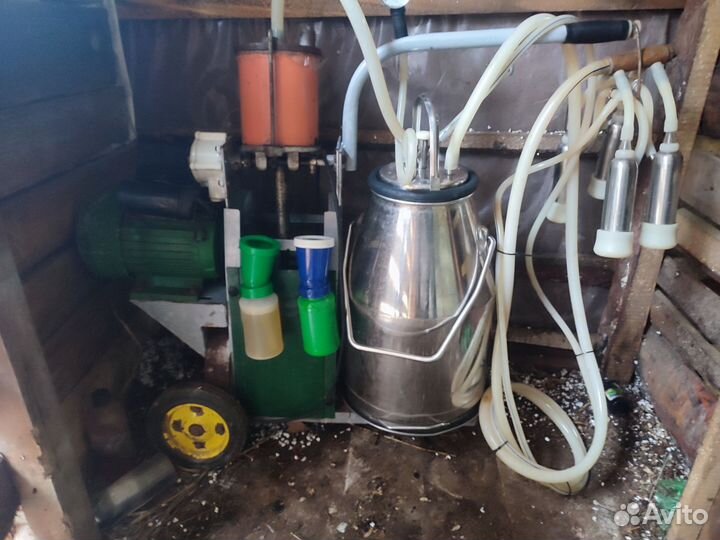 Доильный аппарат Доюшка