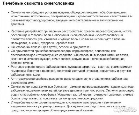 Высокогорные растения душица синеголовик