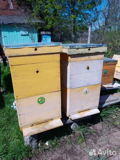 Улей для пчел
