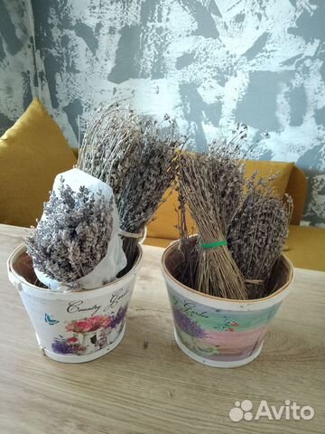 Лаванда сухоцвет