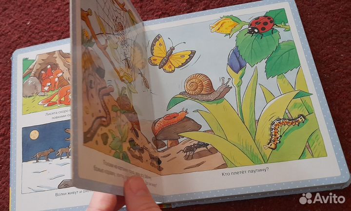 Книжка Первая энциклопедия малыша