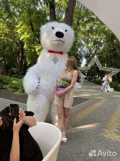 Белый Мишка поздравление/Ростовая кукла/Аниматор