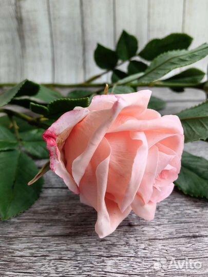 Роза из полимерной глины