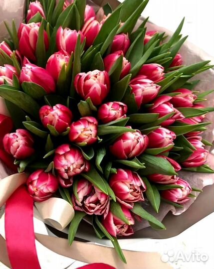 Тюльпаны, заказать букет из Тюльпанов с доставкой