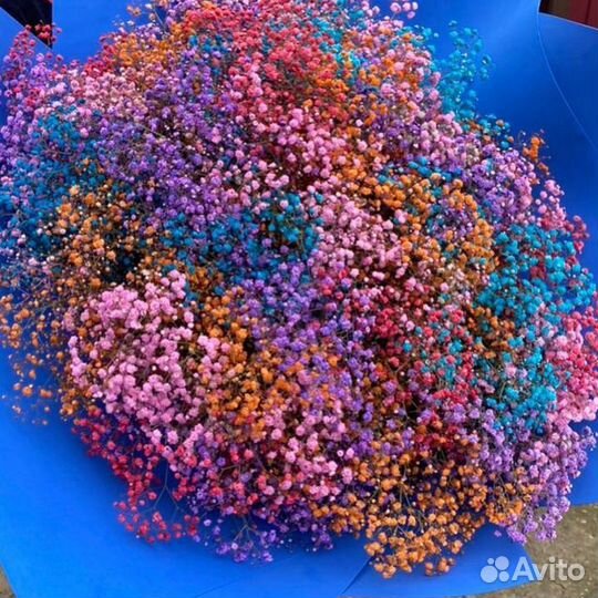 Гипсофилы 51шт 25шт доставка