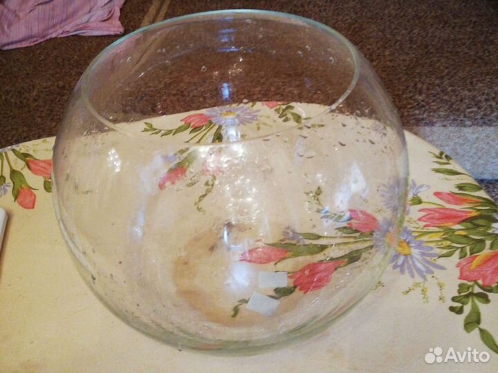 Круглый аквариум 10 литров