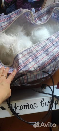 Костюм аниматора и реквизит для игр Кнопки