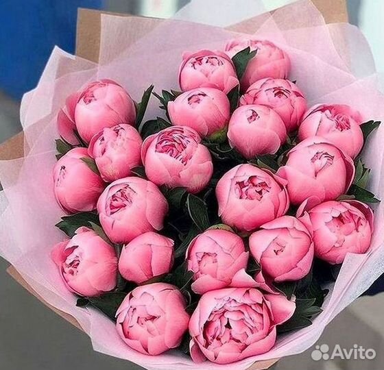 Пионы Розы Доставка