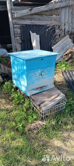 Улей 12 рамок