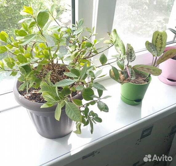 Силиконовая скатерть (В-89105)