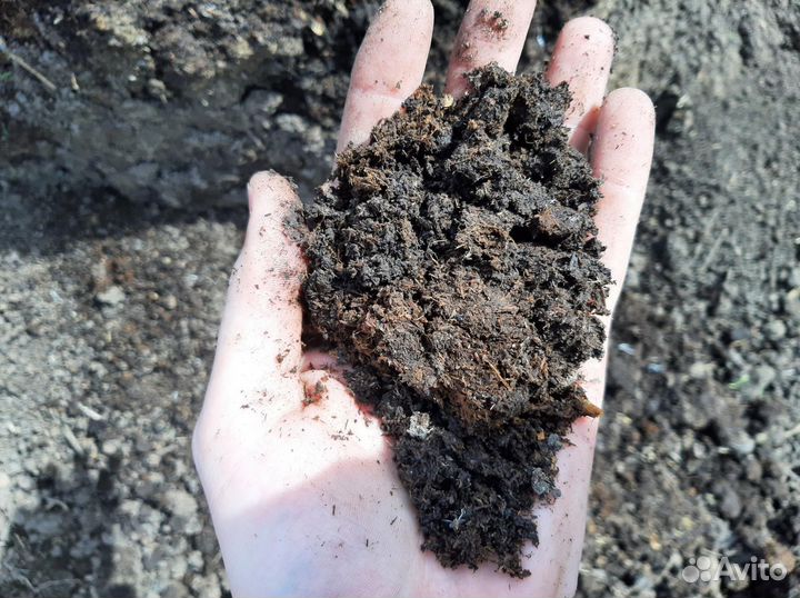 Перегной коровий.Доставка