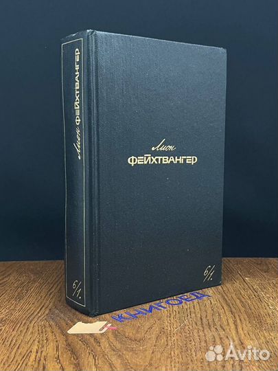Лион Фейхтвангер. Собрание сочинений. Том 6