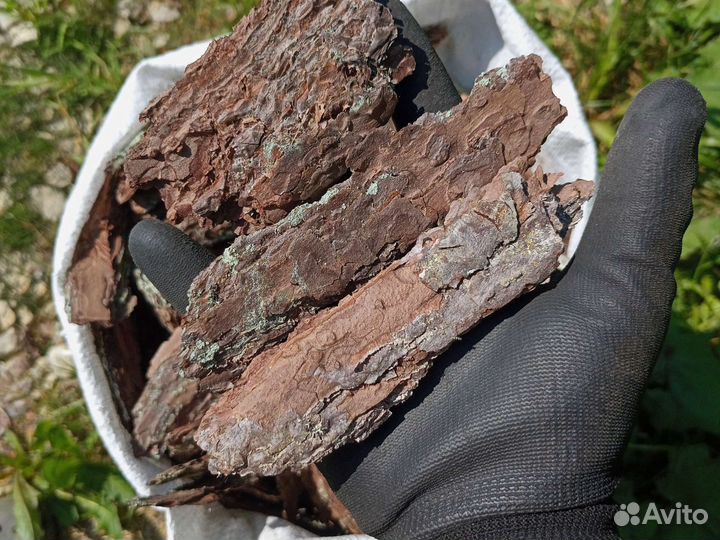 Кора мульча сосновая