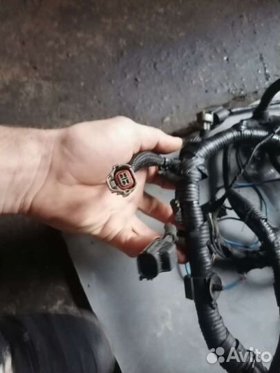 Проводка моторного отсека пежо боксер10г 2.2д 120л