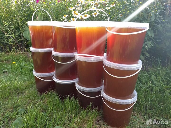 Мед Залесовский натуральный, разнотравье