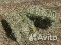 Сено, солома