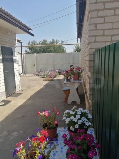 Дом 53,5 м² на участке 4,3 сот.