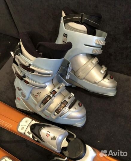 Горные лыжи