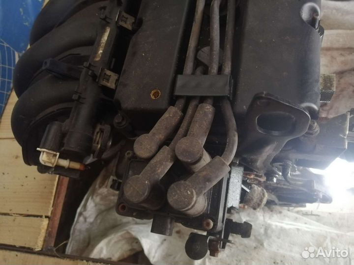 Двигатель ford focus 2 1.6 100 л с shda