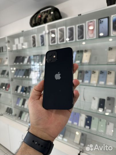 iPhone 12, 256 ГБ