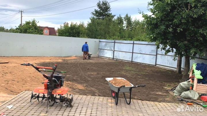 Рулонный газон 