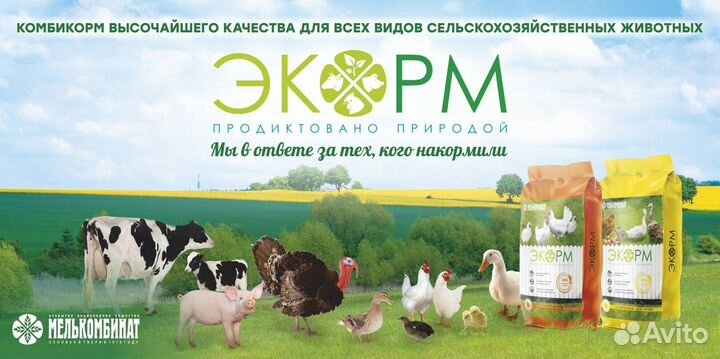 Комбикорм Экорм для кур несушек бройлеров
